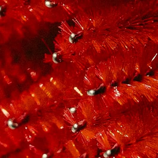 RED-LIGHT therapy at Seal Beach Massage & Wellness in Seal Beach, CA